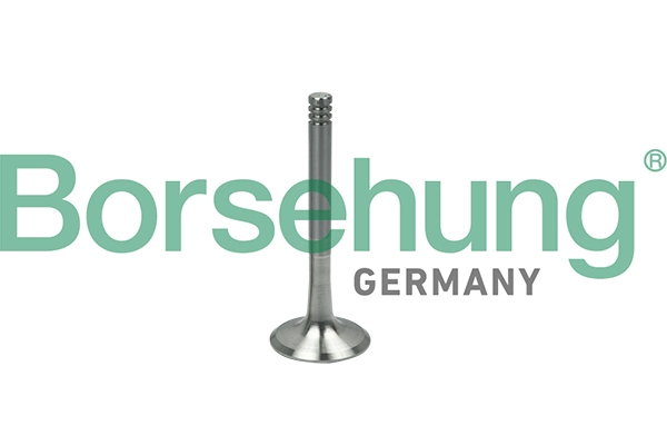 B19000 Borsehung