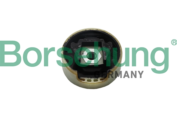 B11354 Borsehung
