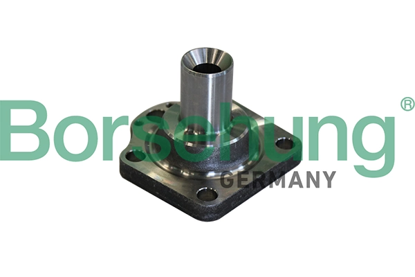B11291 Borsehung