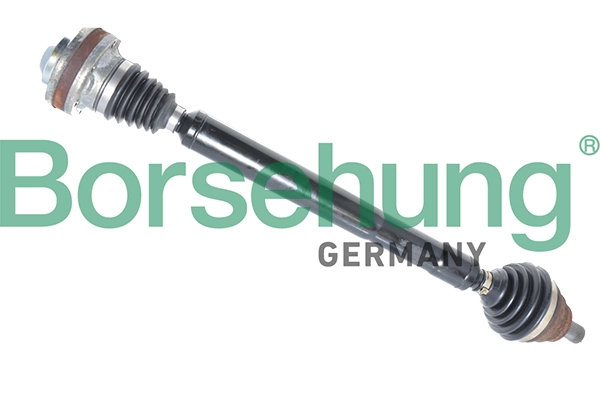 B18360 Borsehung