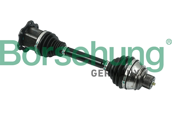 B18369 Borsehung