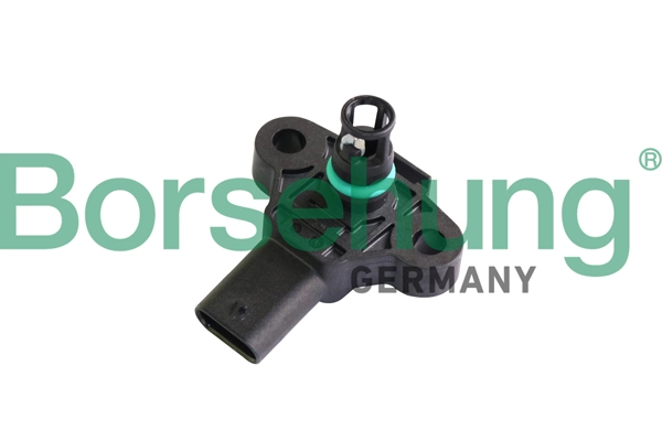 B11876 Borsehung