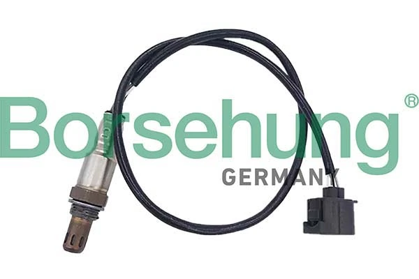 B12569 Borsehung