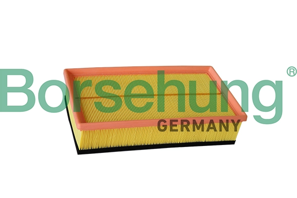 B12218 Borsehung