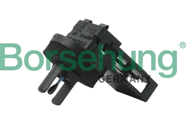 B11446 Borsehung