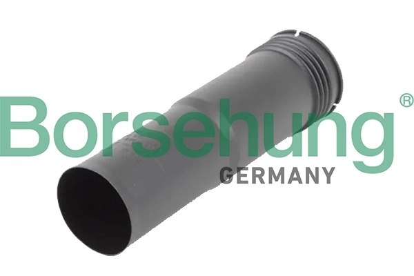 B19168 Borsehung