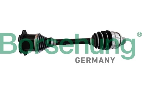 B10607 Borsehung