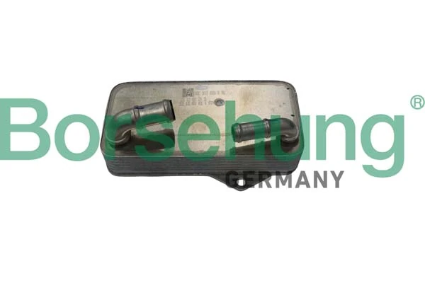 B10882 Borsehung