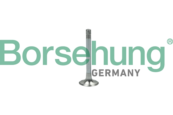 B18999 Borsehung