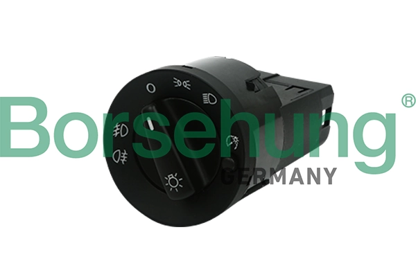 B17997 Borsehung