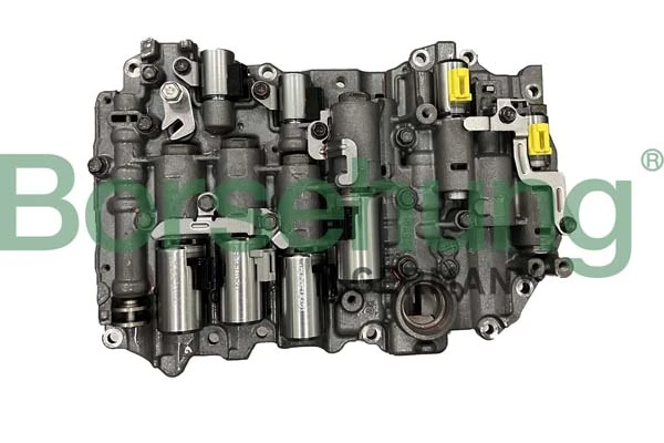B10921 Borsehung