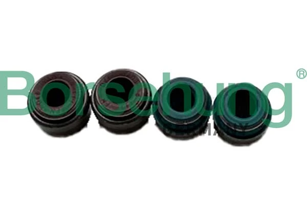 B12534 Borsehung