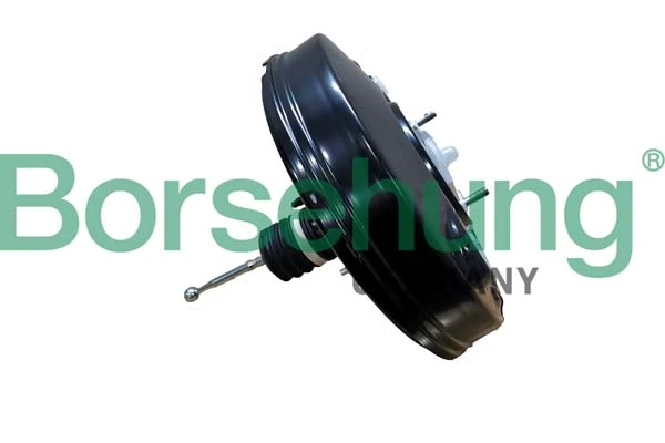 B10711 Borsehung