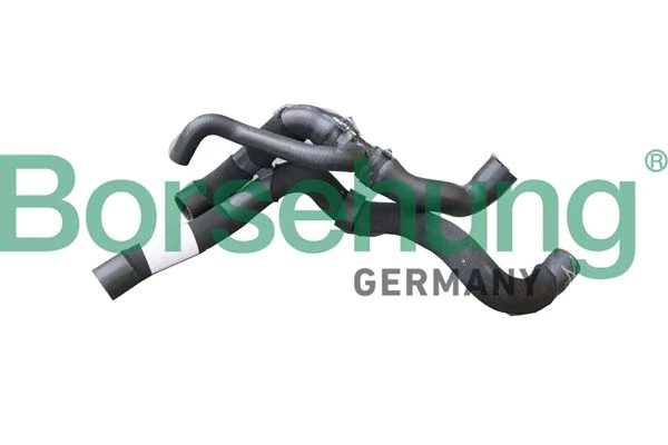 B11974 Borsehung