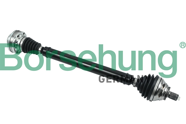 B18305 Borsehung