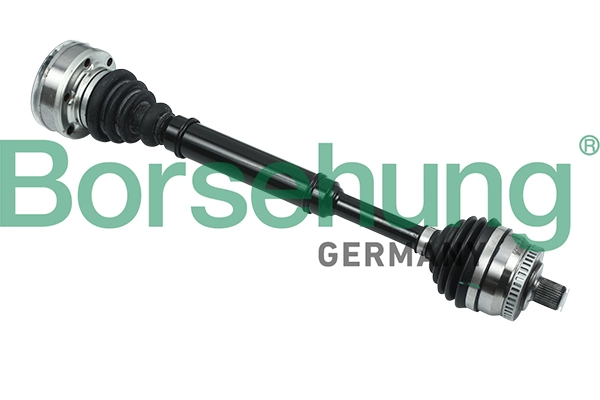 B18317 Borsehung