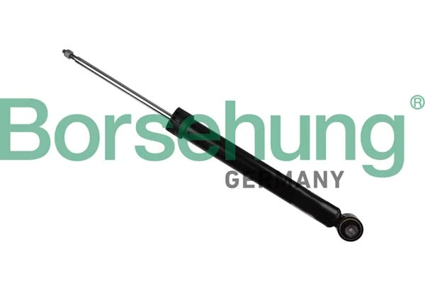 B17893 Borsehung