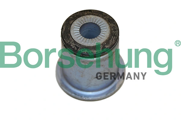 B19076 Borsehung