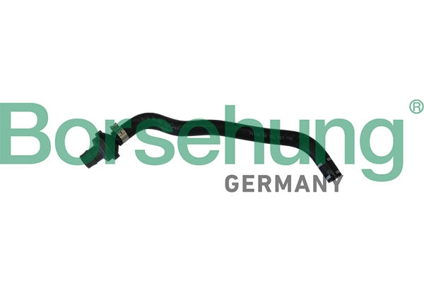 B11970 Borsehung