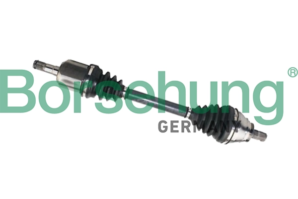 B18755 Borsehung