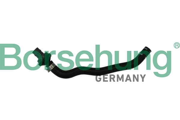 B11971 Borsehung