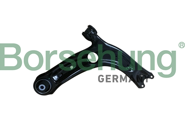 B10859 Borsehung