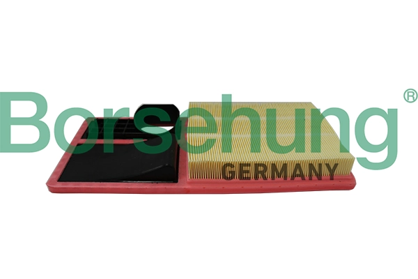 B19096 Borsehung