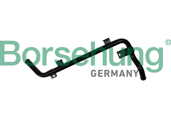 B19266 Borsehung