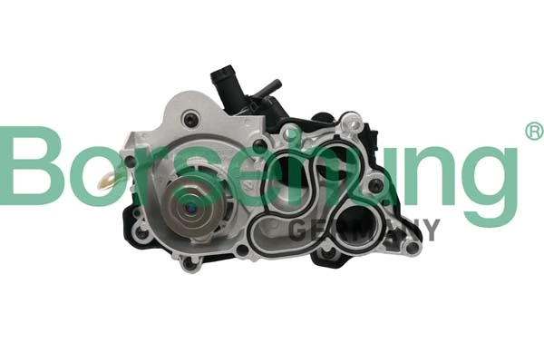 B12692 Borsehung