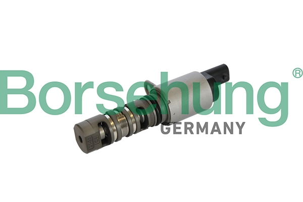 B11866 Borsehung
