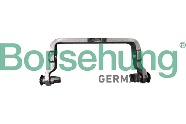 B10910 Borsehung