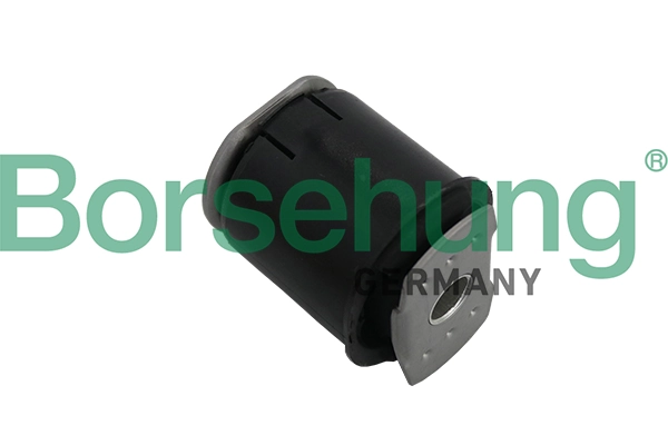 B19162 Borsehung