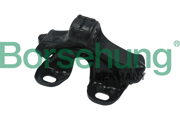 B12276 Borsehung