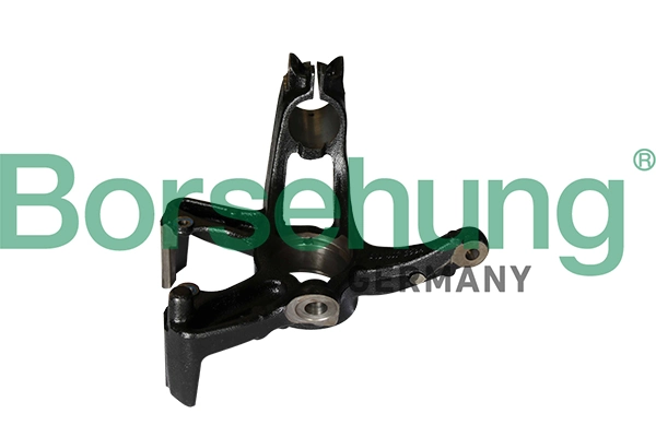 B12112 Borsehung