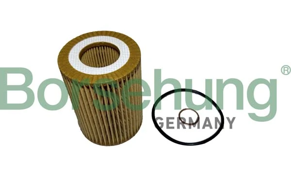 B12458 Borsehung