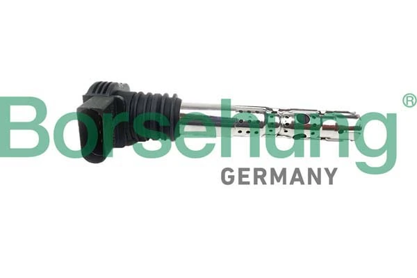 B10691 Borsehung