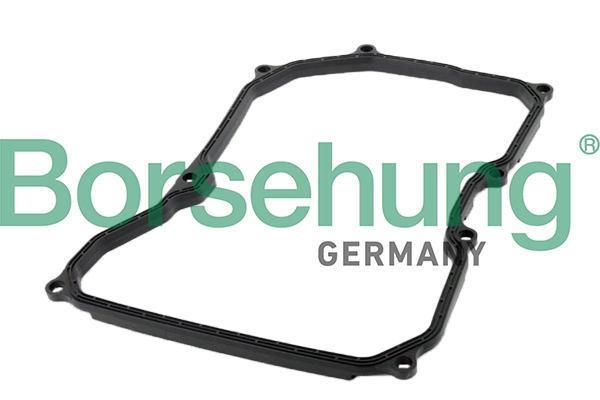 B12728 Borsehung