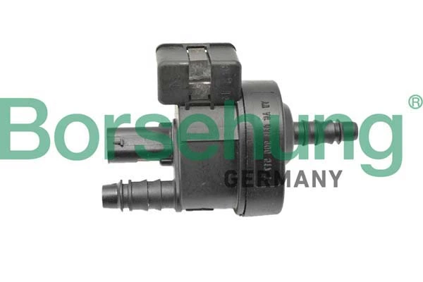 B12316 Borsehung