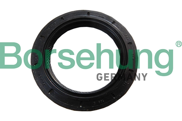 B18791 Borsehung