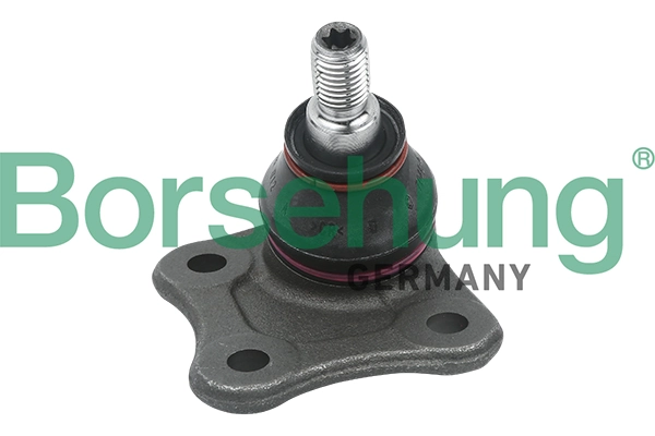 B11335 Borsehung