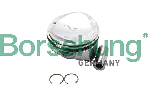 B18991 Borsehung