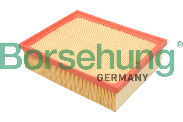 B12805 Borsehung