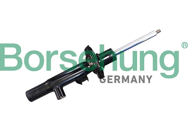 B11178 Borsehung