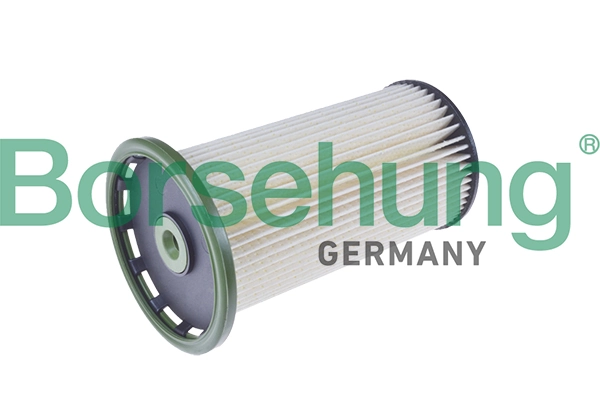 B10523 Borsehung