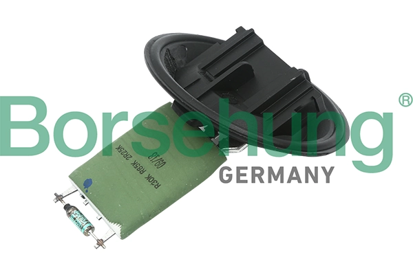 B11459 Borsehung