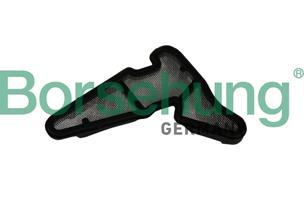 B19034 Borsehung