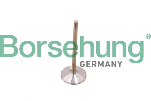 B10348 Borsehung