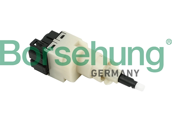 B17996 Borsehung