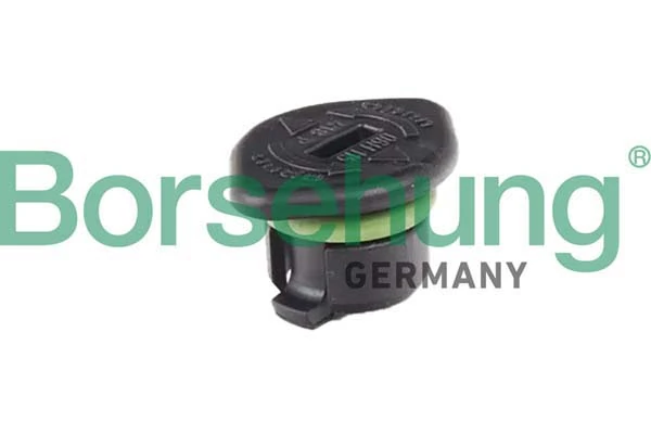 B10666 Borsehung