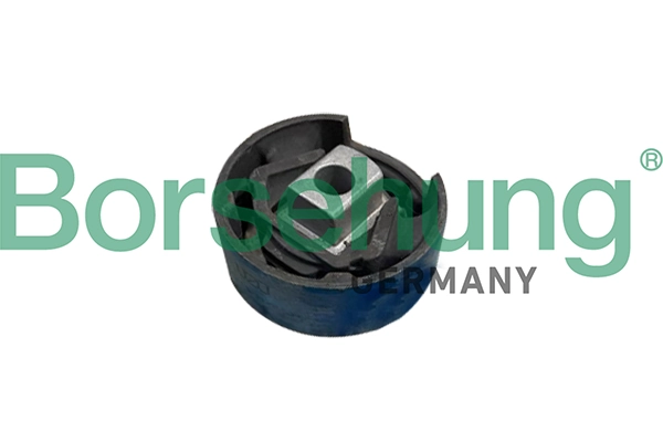 B10031 Borsehung